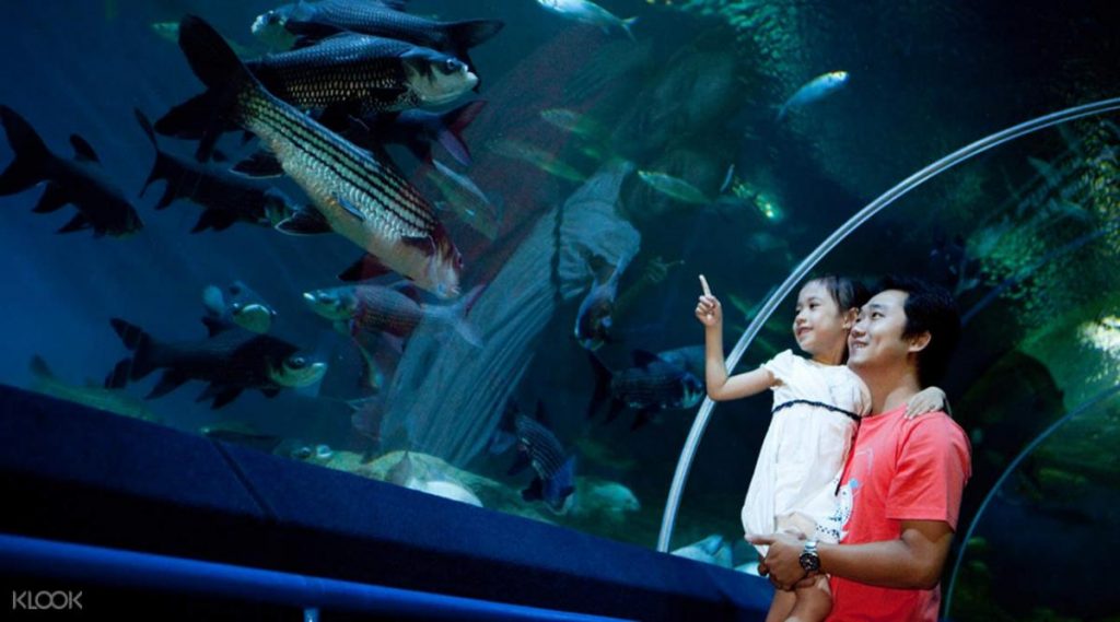 พัทยา Underwater World Pattaya