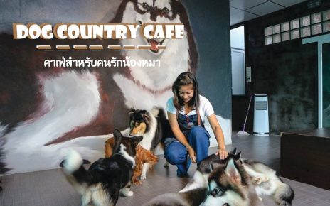 Dog Country Cafe